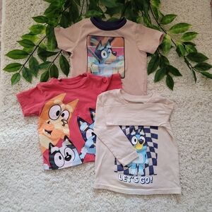 Baby Boy Bluey Bundle (12-18 Months)